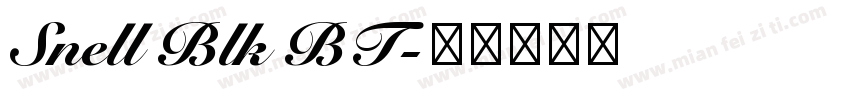 Snell Blk BT字体转换